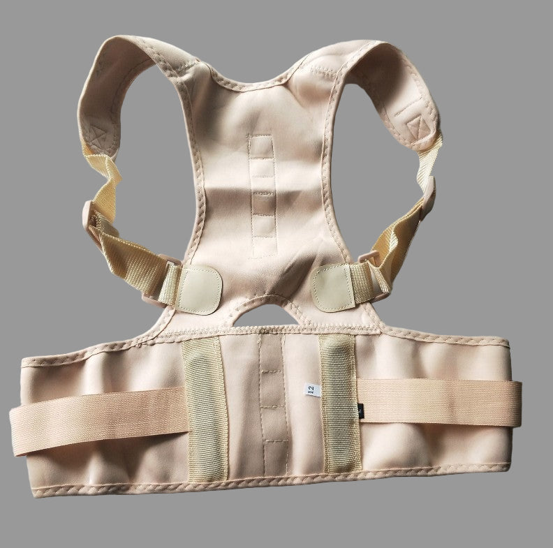 Posture Support Belt