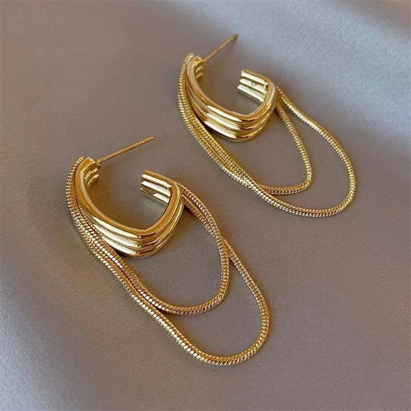 Luxury Fringe Chain Earrings