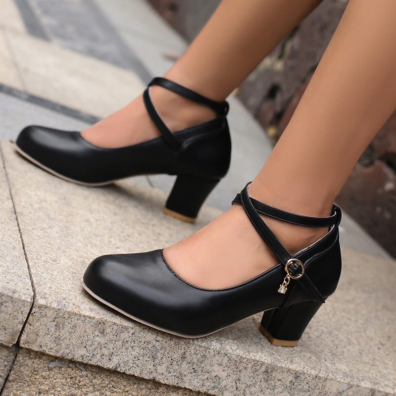 Chunky Heel High Heel Shoes Mary Jane Shoes Work Shoes