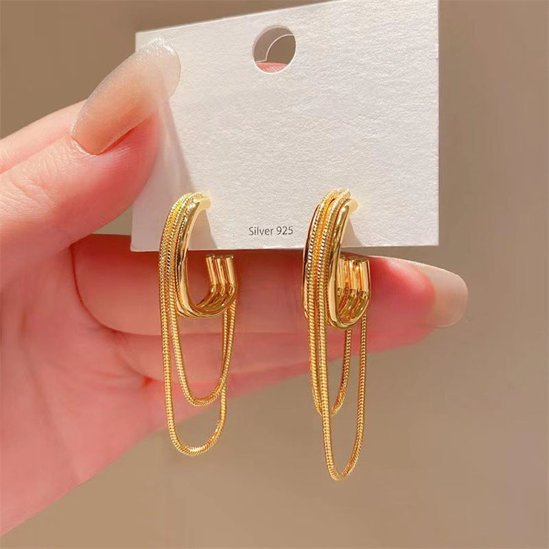 Light Luxury Minority High-grade Multi-layer Chain Long Fringe Earrings Women